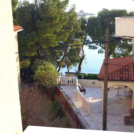 Dani Zelja * Makarska