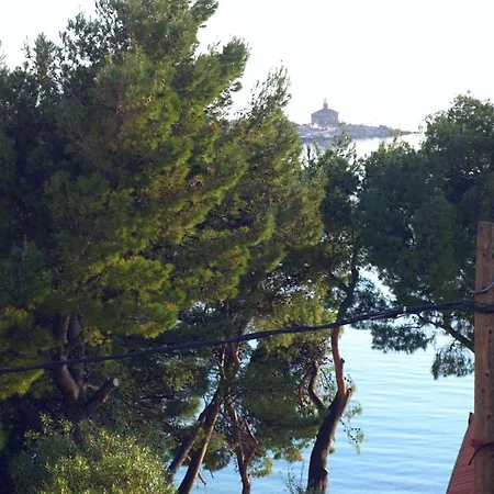 Dani Zelja Lägenhet